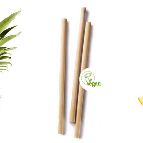 Bambusové slamky 10ks, eko slamky, Mobake, bambusove slamky, bambusova slamka, bamboo straw, vegan straw,