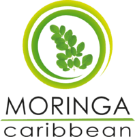 Moringa Caribbean