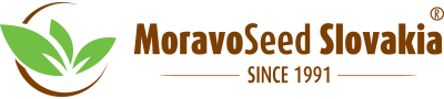 moravoseed-logo